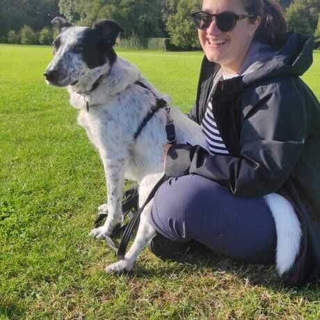 982e8fb0 4830 4e06 afac 23fc065d4b34