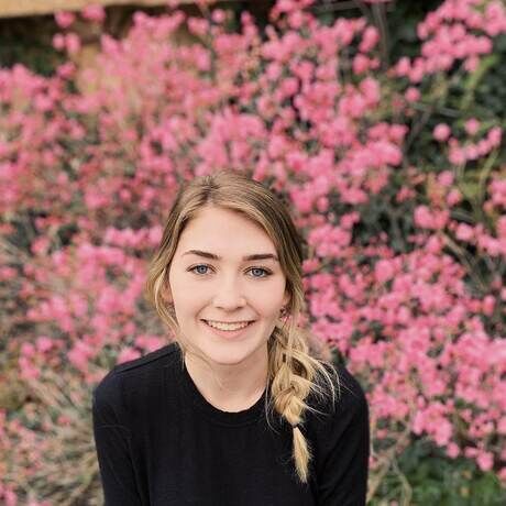 71a72f97 3874 43ca aeeb 04900cf81ddb