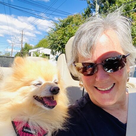 307c9b7d 7192 444e ab8c 371046fd6add