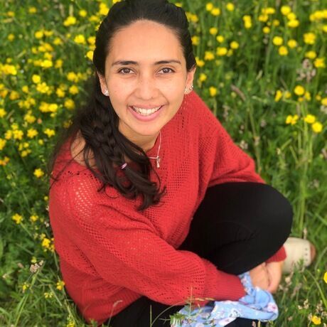 C3b3a715 cb46 493c aa29 ce883a9a5bed