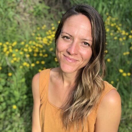 A50f6c2f 0873 411a 8728 94e51a24abae