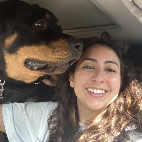 B20610bf b573 4281 9ae0 370a9164138c