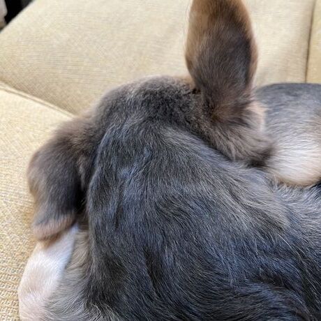 De82ab58 07d5 491a 9f1e 0cbc57c592af