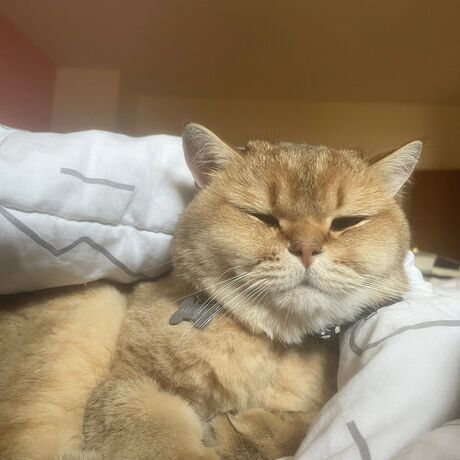 7ff405a1 bea6 4b5a 85d2 63b4d0ee72b4