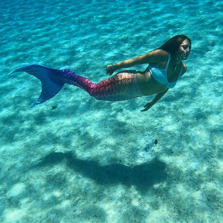 B8bd2855 34a0 4e18 8a01 946f3385dcd8