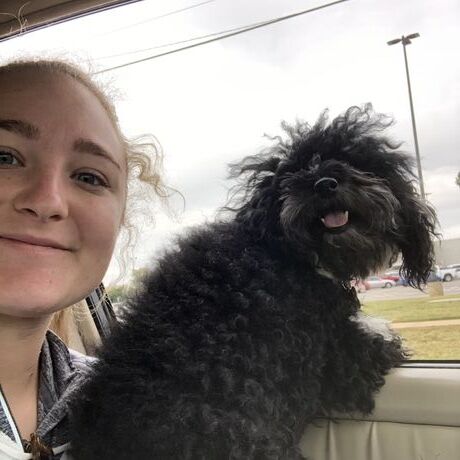 5cb6969a abc8 42c5 8001 8008db95bb63