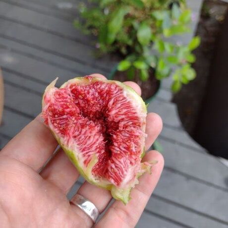 Img 20221008 172355840