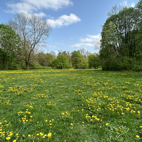 732dc367 0652 4a44 b405 657e2a090380