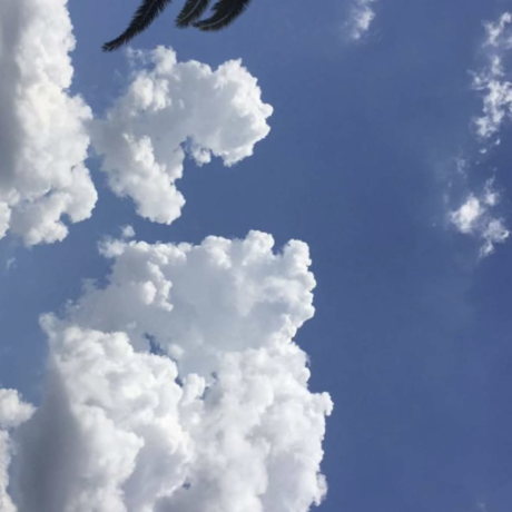 2c6c189c c80d 4492 9007 6c2cc110b877