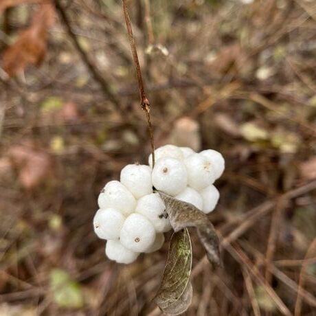 0103dca6 287c 4c3f ac4f 404273c726c6