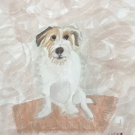 1d4216bf a0ac 4c9d a9a5 326853e71199