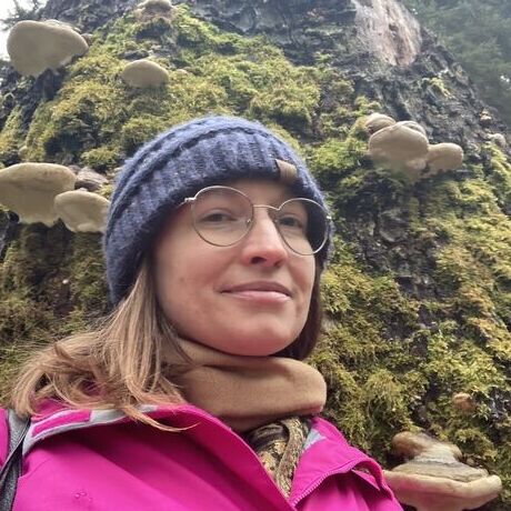 D9796f57 f2f8 4097 ac88 686024803d0c