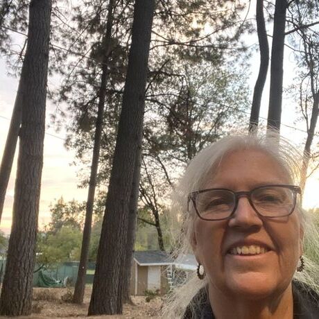 8d01c8d0 a330 470f bb5b f0d6243e0375