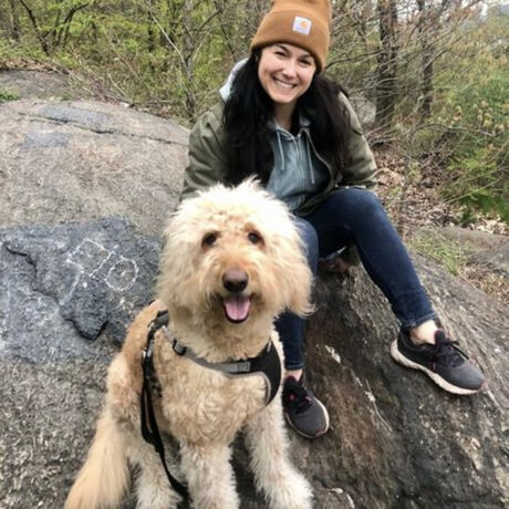 24b8ede7 9d7f 4c3f b9a9 6410cea2d8fd