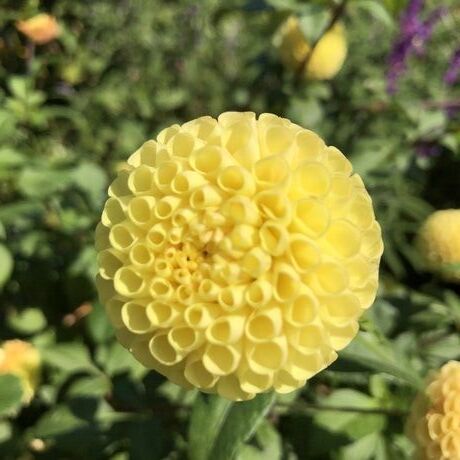 2858e96e 9f97 4497 8212 34db447ca3f7