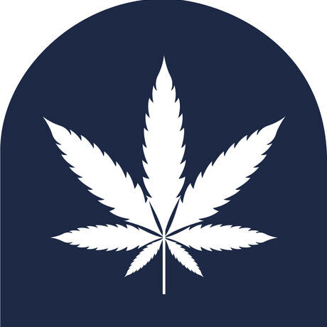 Hb logo icon leaf fill navy