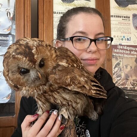 5dfc47e4 6af1 4276 82c7 7acd2210fce8