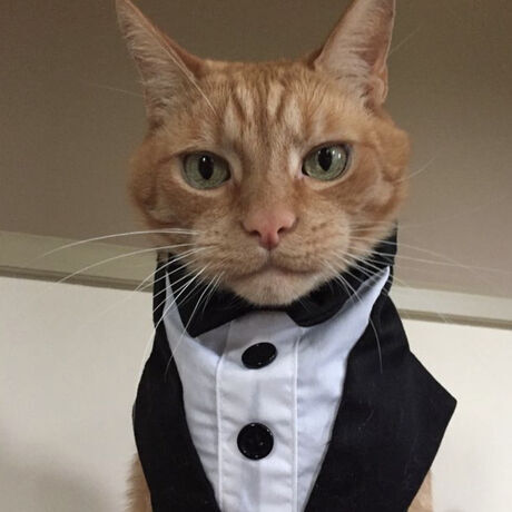 842968b3 c92f 4e10 a12d 23f8d159ef23