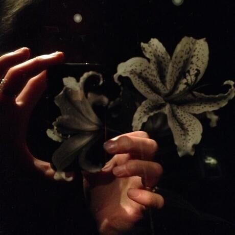 1473017 10102679061531097 2129820335 n