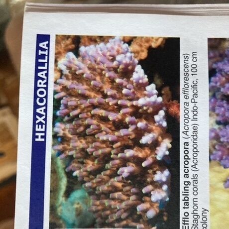 356f980c aec4 4451 8d73 61dc6c6c776b