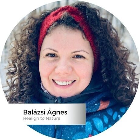 7e6f6269 2e94 4a2f 9033 517e5b281029