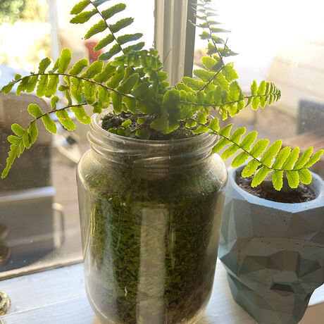 5d0680e4 25ea 463b 95bc 426d3f7f1ab2