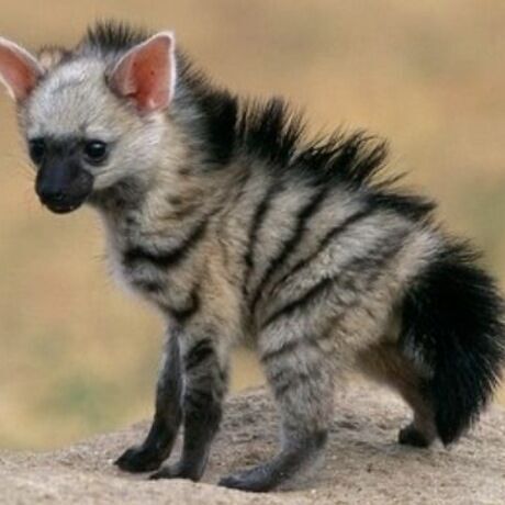 49e60727 8cdc 43e2 b91a fcd3295697fb