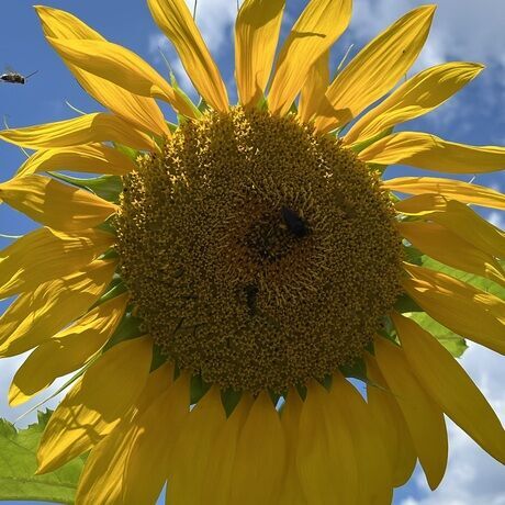 F18a7b15 af17 4e4e b1c6 b990059d7374