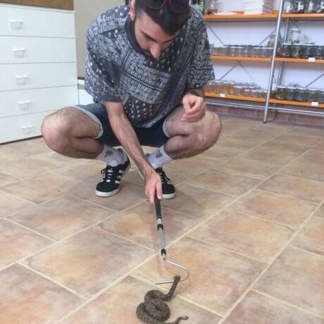 40704e2f c1b3 49d0 afac 3d7ed8d73ff7