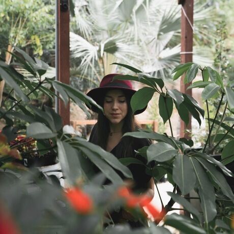 3317ba08 5f0e 4cac 922c e37cd370b985