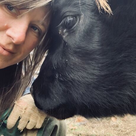 75164bb3 31c8 4854 a9fc a8a4166e0fca