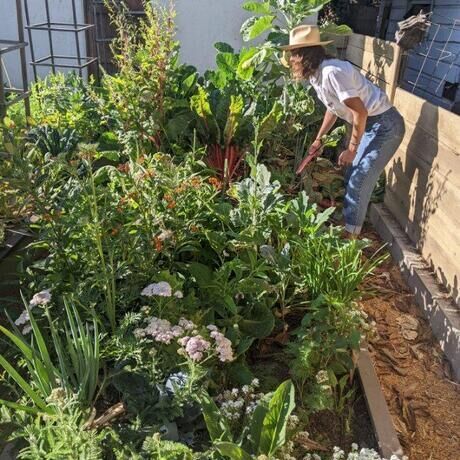 102b94cc 225b 43b3 9b51 36c2b3b7c5b3