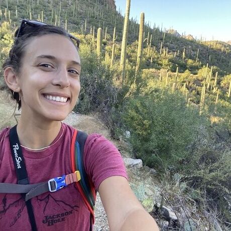 34085431 b424 4751 a8ca e35b970e0f87