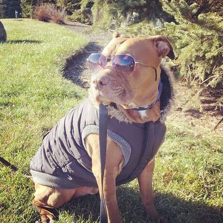 Img 20211217 104645 330