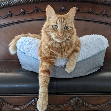 Pxl 20220226 220549738