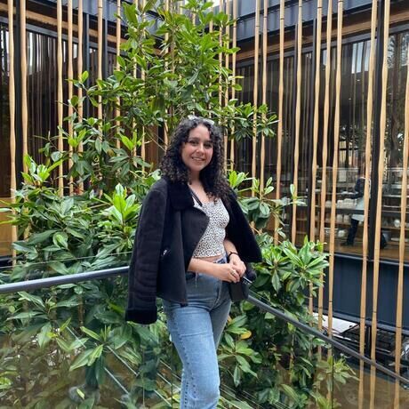 Whatsapp image 2022 12 05 at 12.00.11