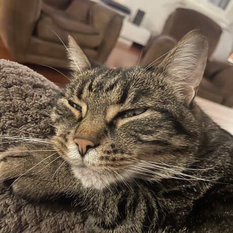 F3460b18 37a5 4480 a2a9 8f385547c951