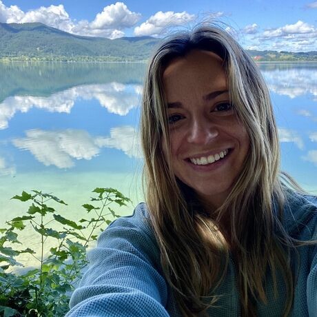 7bd54f1f 7d64 4569 82e3 e77446fc8e2b