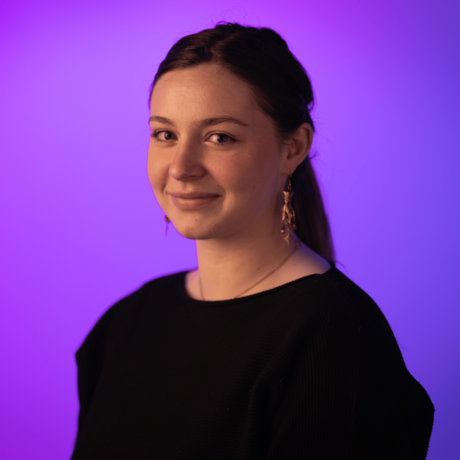 Shay wellington 2 0.5x