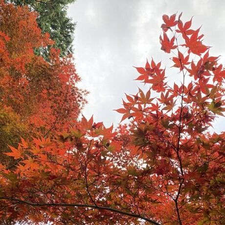 744698a1 93b0 49f1 9071 2f8112204c51