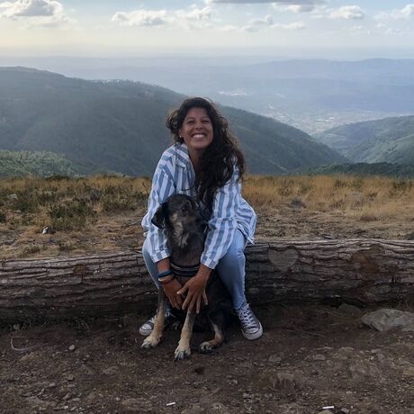 97cb7041 907a 4f45 9485 8314673a942b