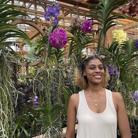 9f1271ce 53f3 48bb a9de 9bb89c7ec909