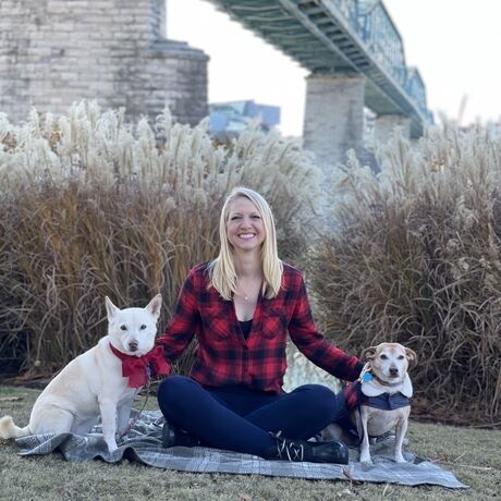 1613a88f 8fec 4af0 be59 1e51199d3de0