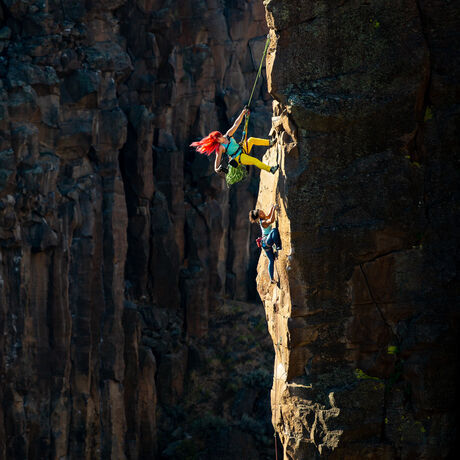 Photo by irene yee m60c8557 2 1