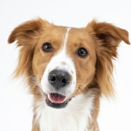 Screenshot 20230519 152259 gallery