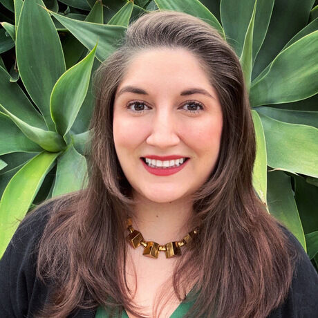 2a484d7a e61c 4843 9693 d4b64823cec6