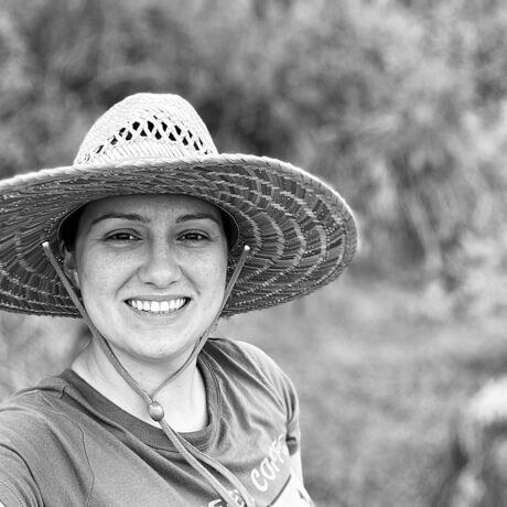 075d1858 7b54 4200 ab45 50c42297a97b