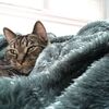Small img 1207