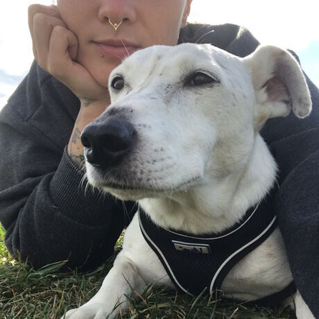 E4c0d7e9 9bed 47de b9f1 56a3cd127f6a