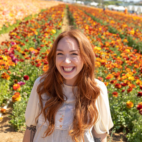 Flowerfields 22small